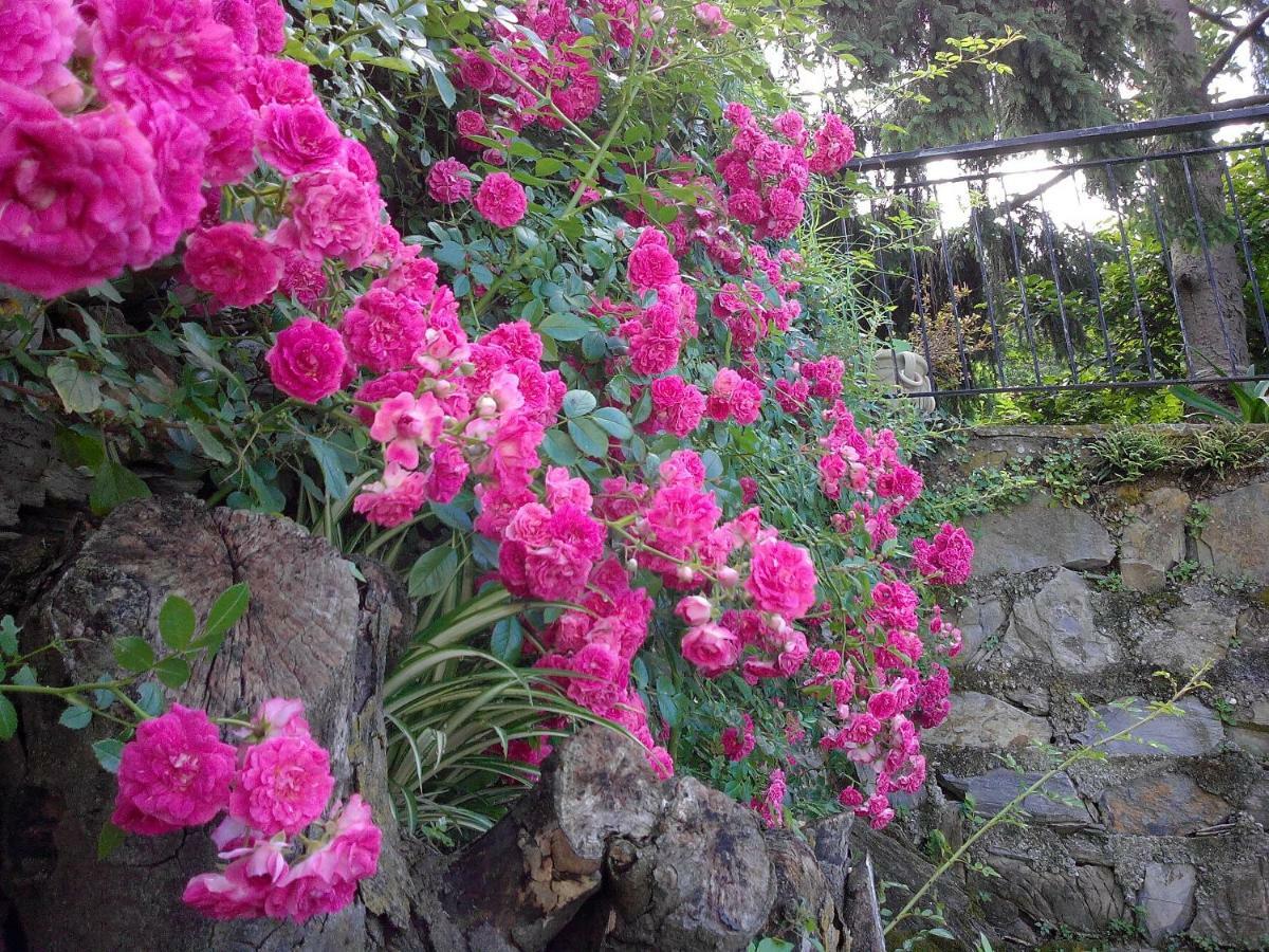I Glicini Vescina