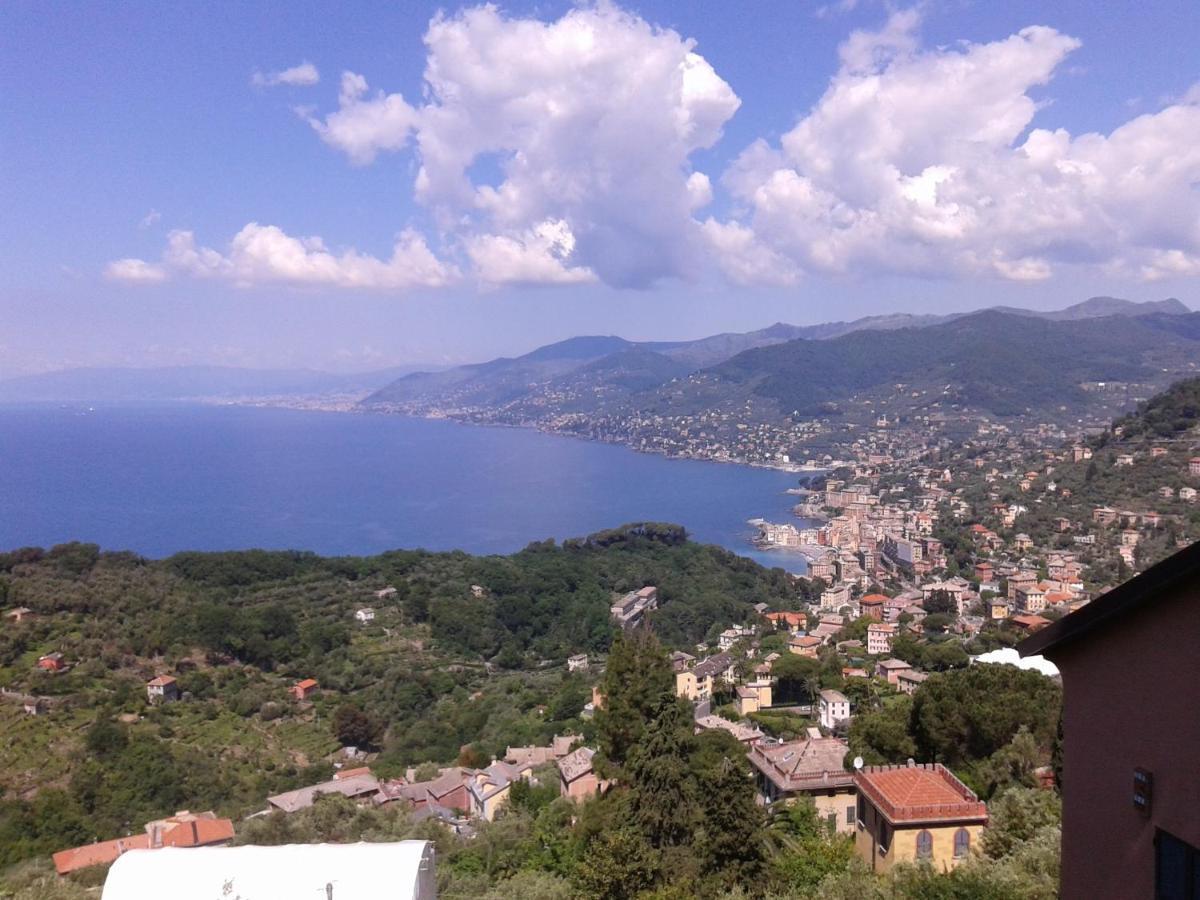 I Glicini *