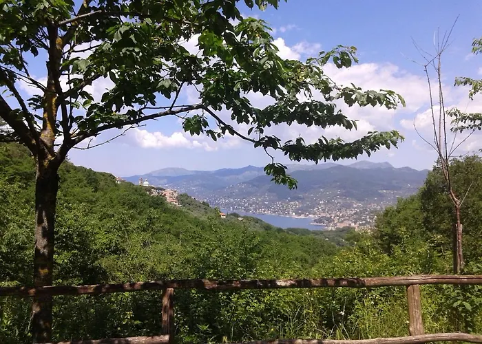 B&B I Glicini