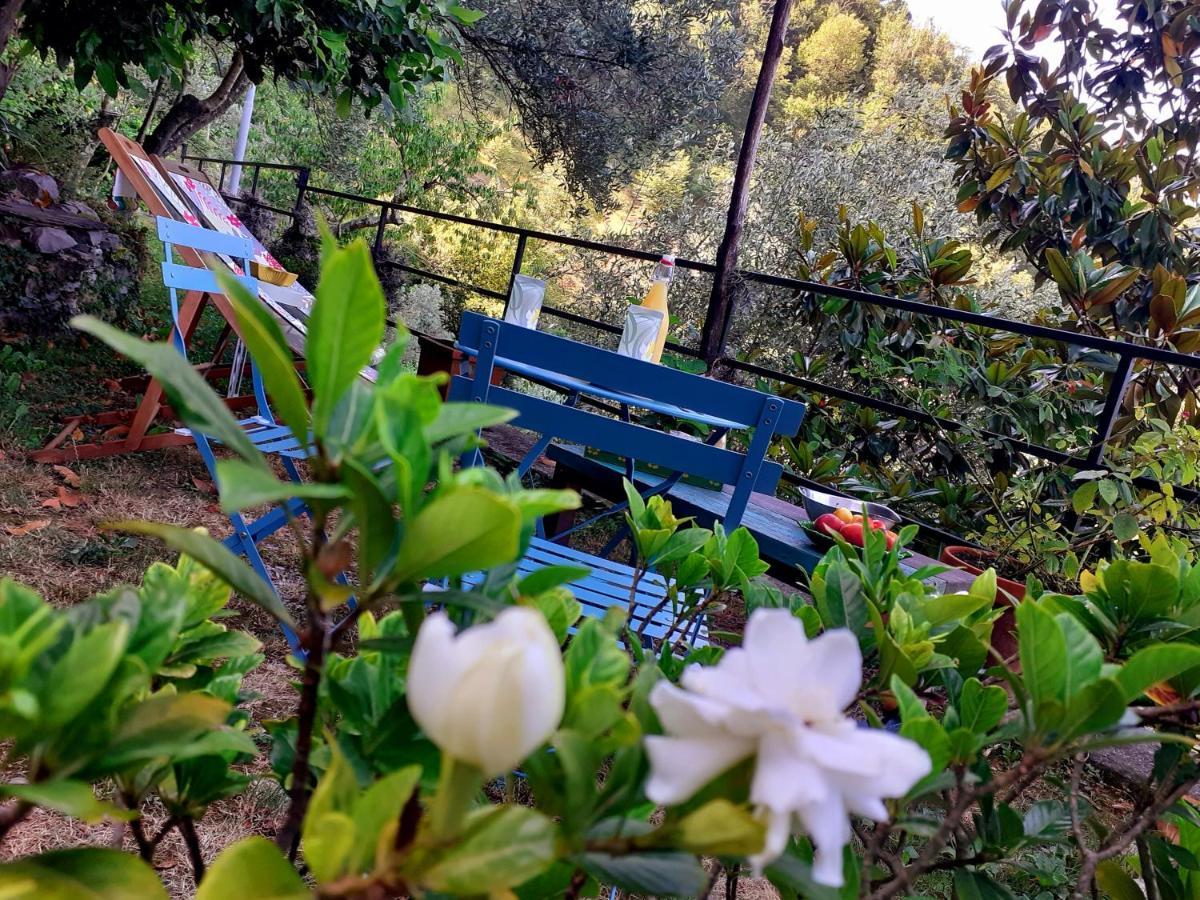 I Glicini Bed & Breakfast Vescina