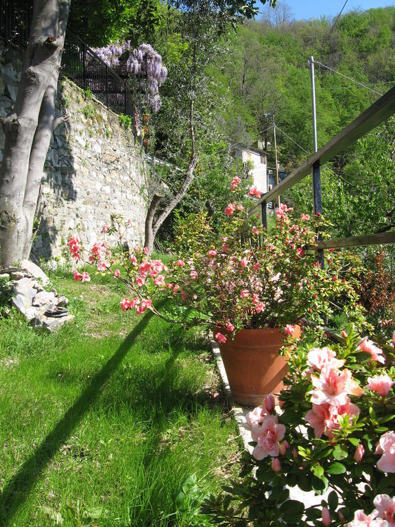 Couette-café I Glicini Vescina