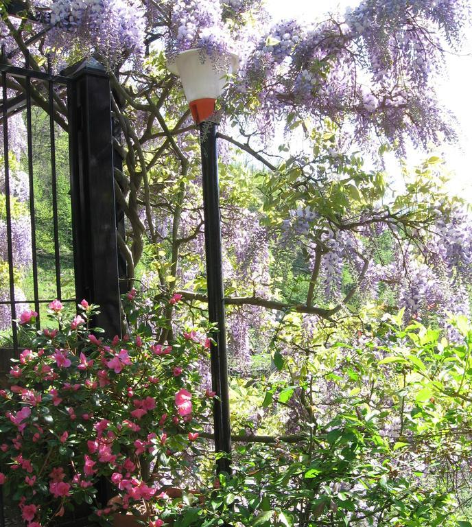 Bed & Breakfast I Glicini