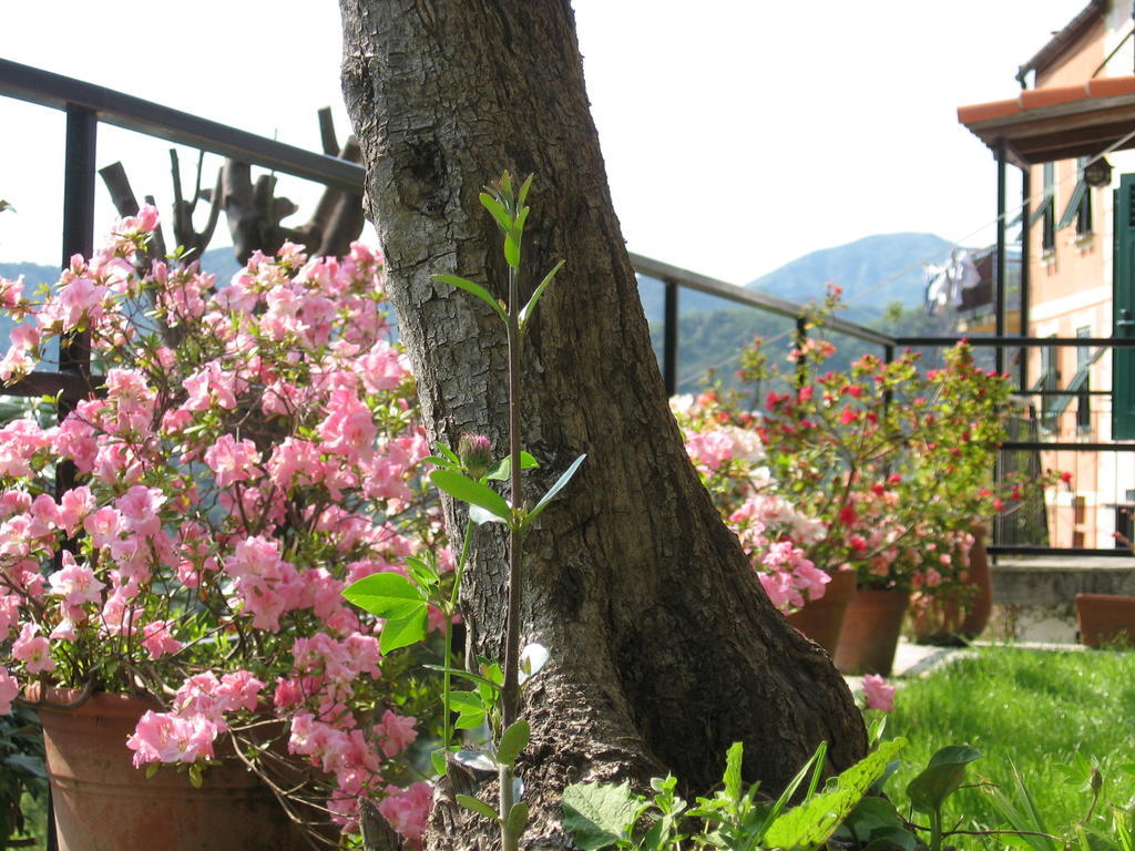 Bed & Breakfast I Glicini Vescina