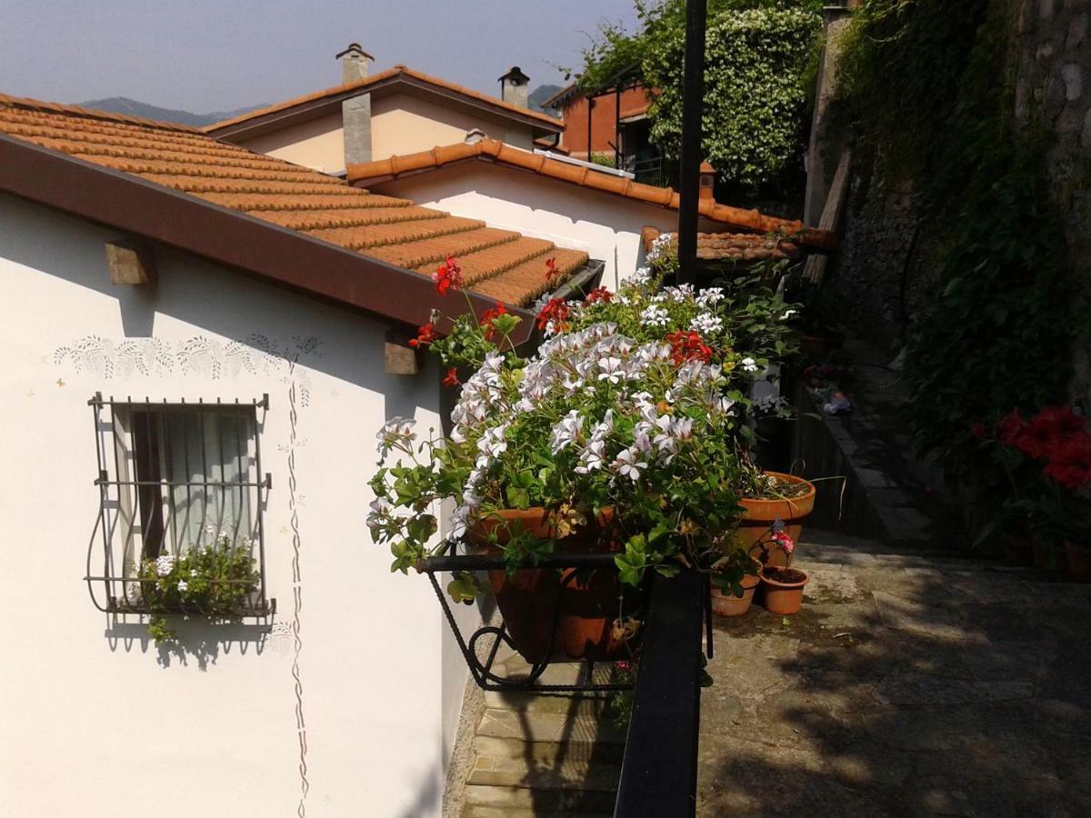 Couette-café I Glicini