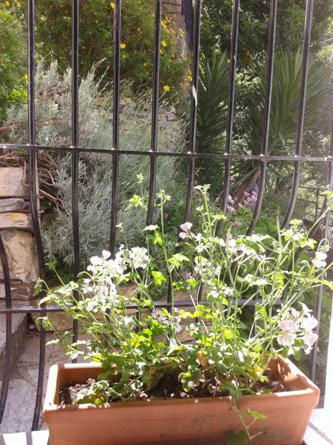 Bed & Breakfast I Glicini Vescina
