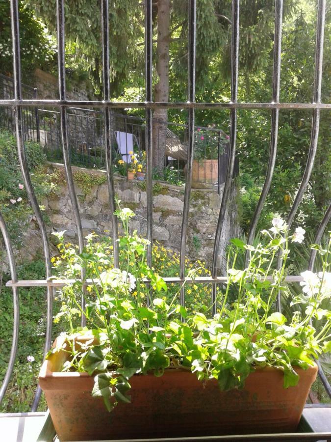 I Glicini *