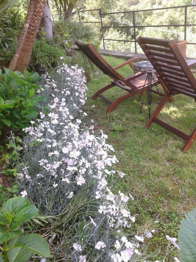 I Glicini Bed & Breakfast