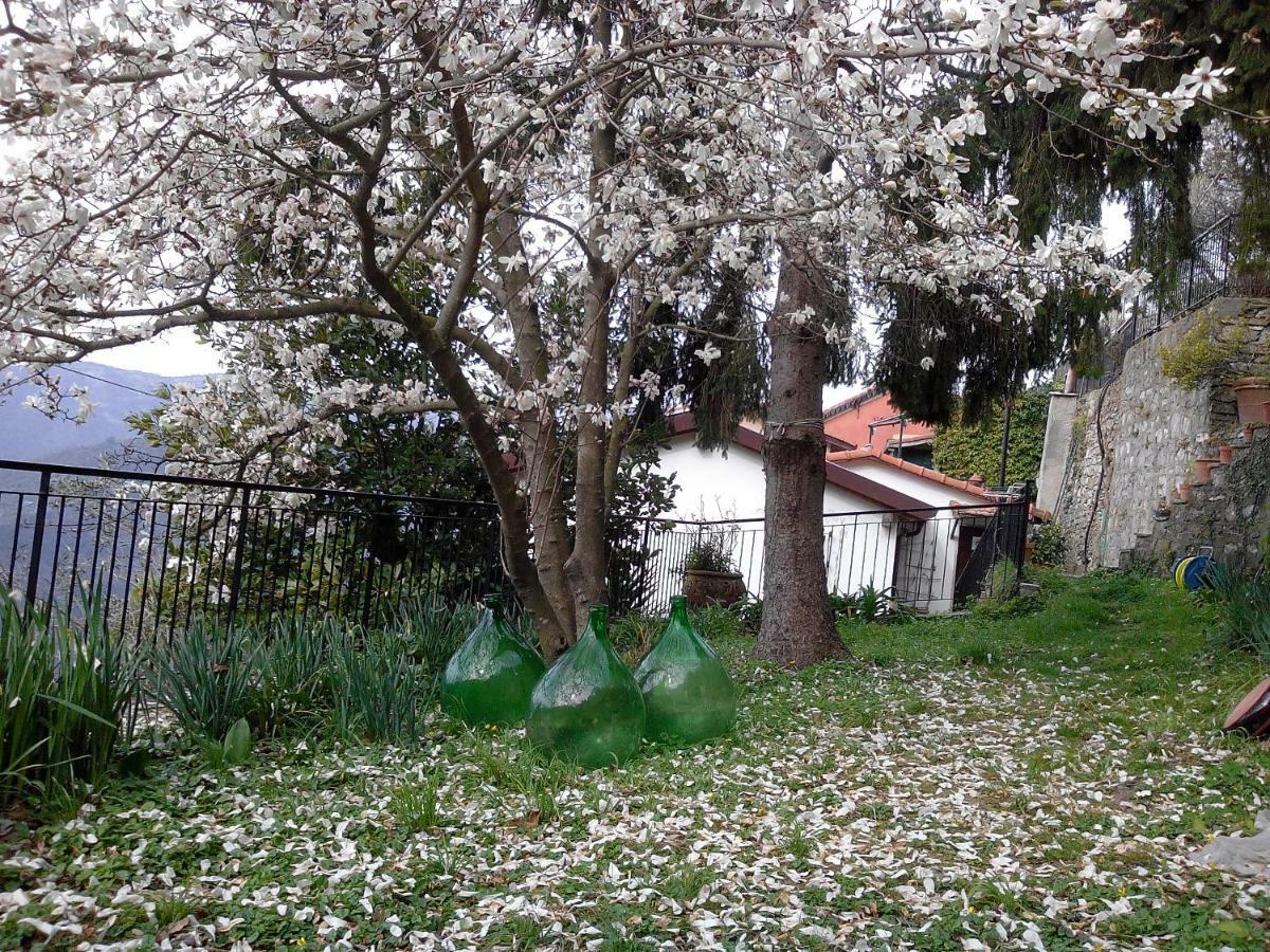 I Glicini Vescina