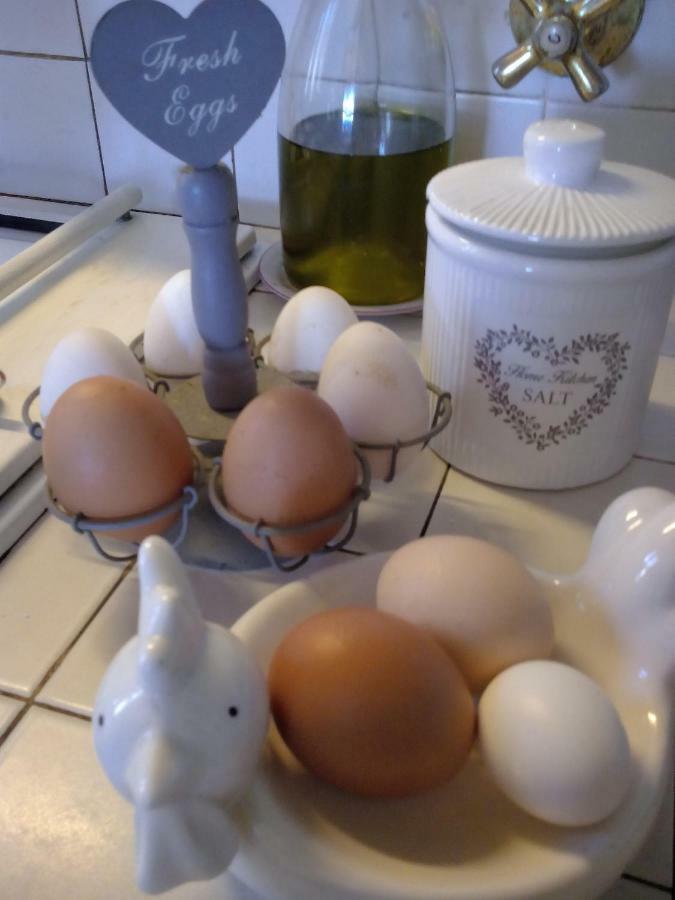 I Glicini Bed & Breakfast