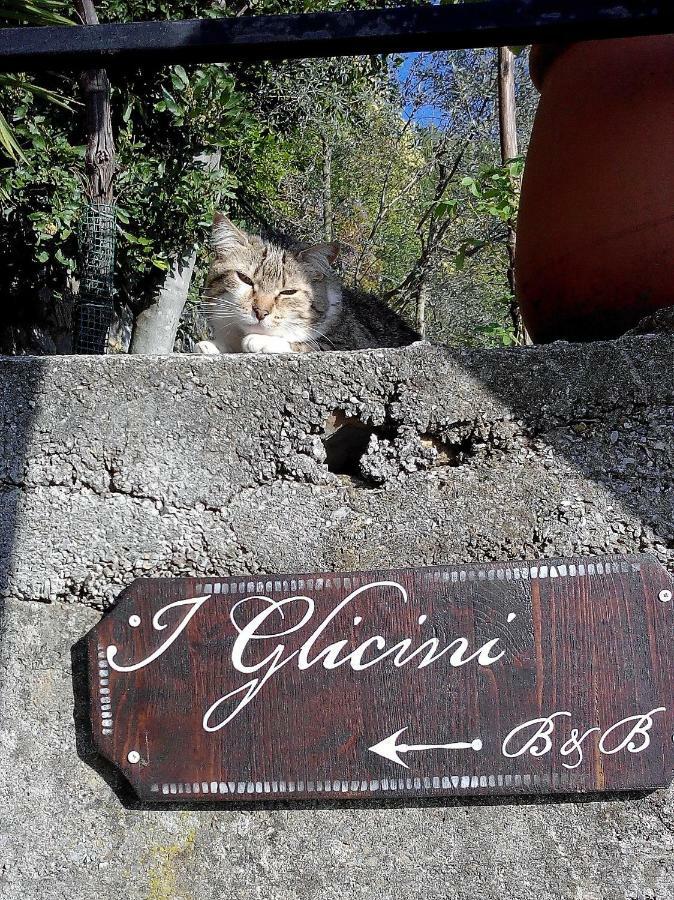 I Glicini *