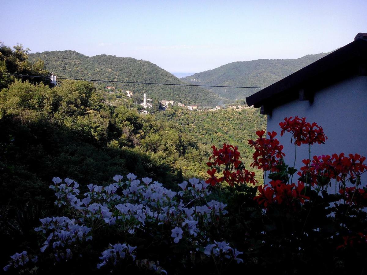 I Glicini * Vescina