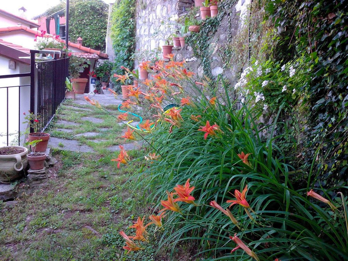 Couette-café I Glicini Vescina