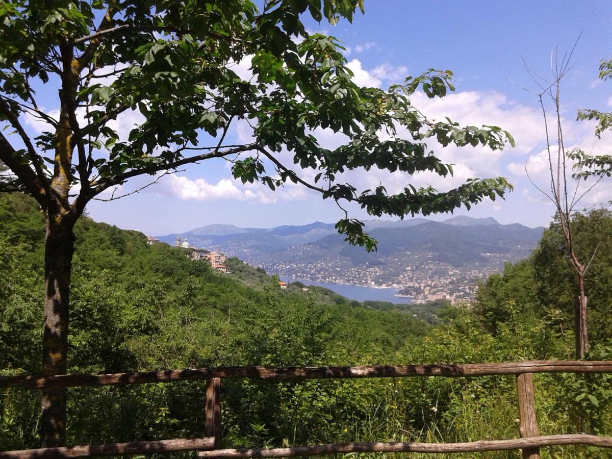 Bed & Breakfast I Glicini *