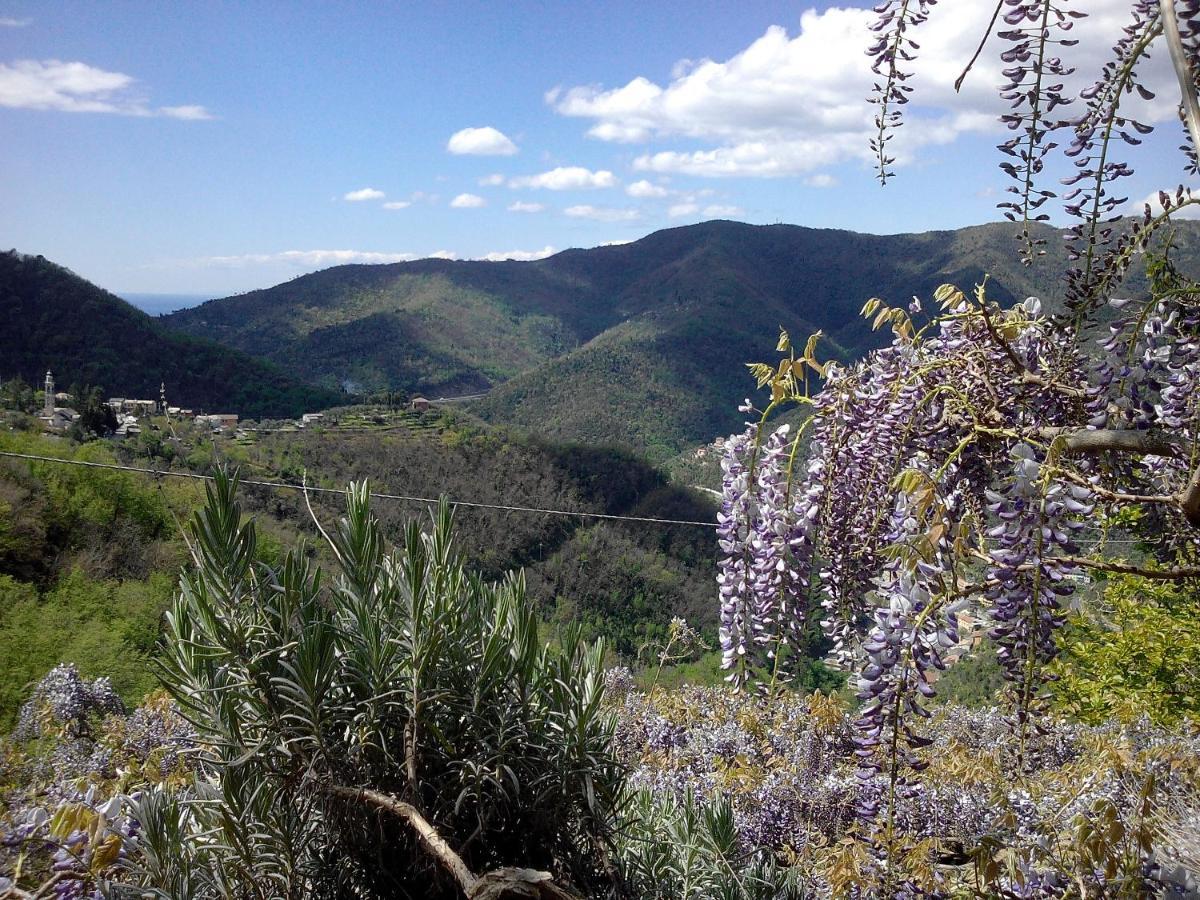 I Glicini Bed & Breakfast Vescina