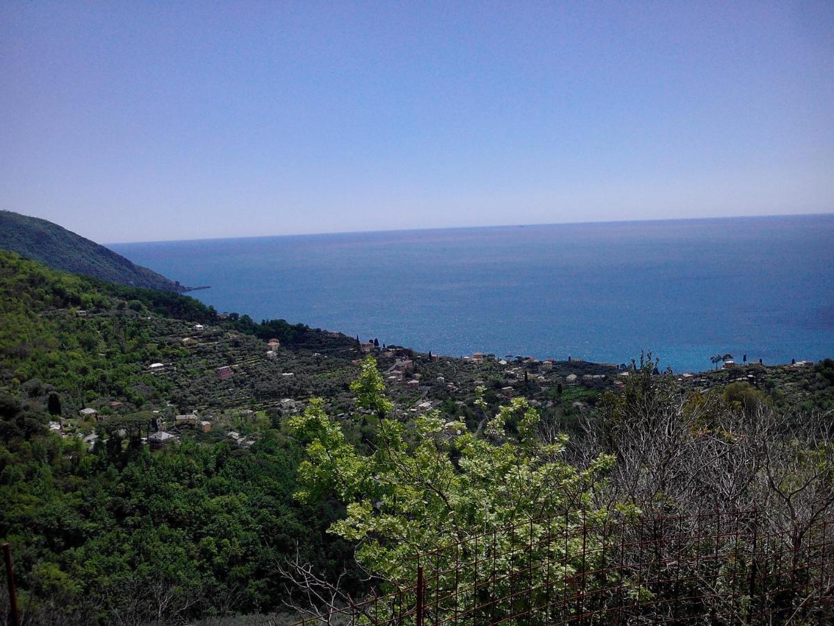 I Glicini * Vescina